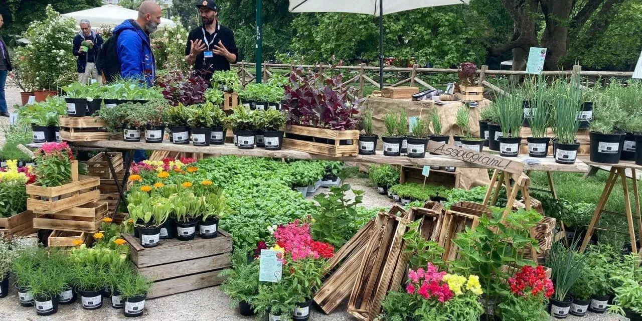 Cologna Veneta in fiore: the exhibition that colors the streets of the village  