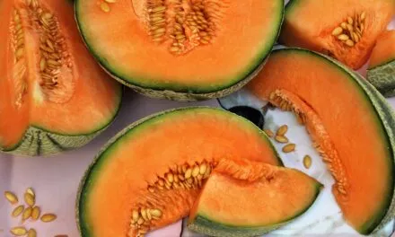 The Melon Festival in Erbè kicks off the summer with the Veronese summer fruit par excellence  