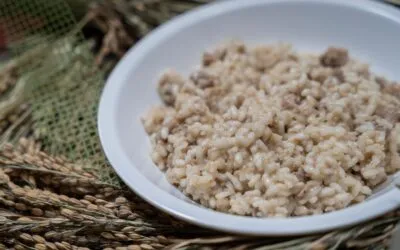 Isola della Scala in Verona becomes the global hub for Risotto: the 57th “Fiera del Riso” opens