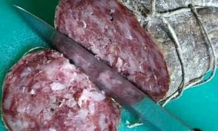 The humble Soppressa from Veneto