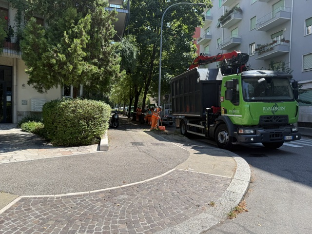 THE BUSINESS OF CUTTING DOWN TREES