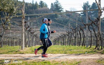 TommasiRun: Sunday 26 March, running through the vineyards of Valpolicella. Free registration.