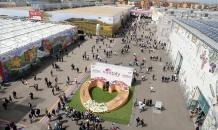 Countdown to Vinitaly: previews of the 2023 edition