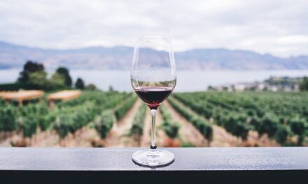 Veneto: first Italian region for wine exports
