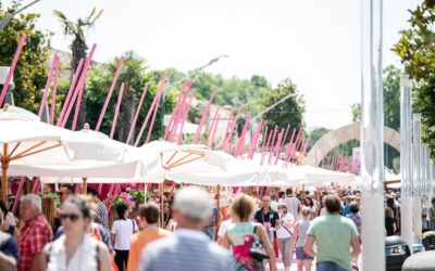 Palio del Chiaretto in Bardolino: a whole weekend, starting from 26th May to celebrate the local pink wine. Wine tastings and good food overlooking the lake. Free access