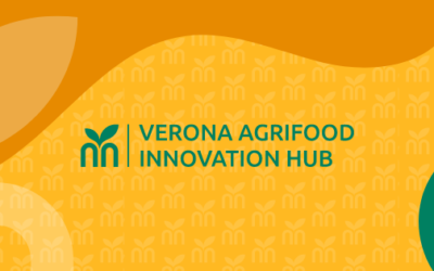 Launch of Verona Agrifood Innovation Hub: first free courses and a meeting with the entrepreneur Riccardo Illy