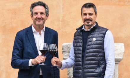 Amarone della Valpolicella, peace done between the Consortium and Famiglie Storiche