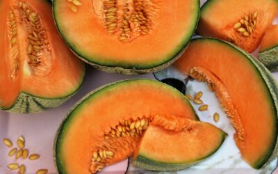 The Melon Festival in Erbè kicks off the summer with the Veronese summer fruit par excellence  