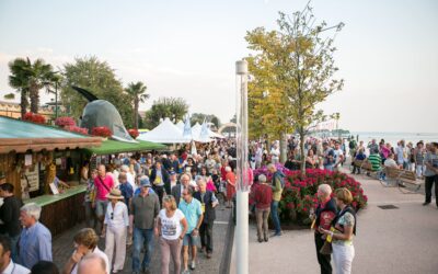 Bardolino Grape and Wine Festival, five days to discover Lake Garda and its famous products