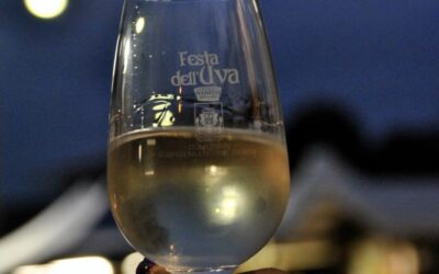 Grape Festival, a weekend full of events in Castelnuovo