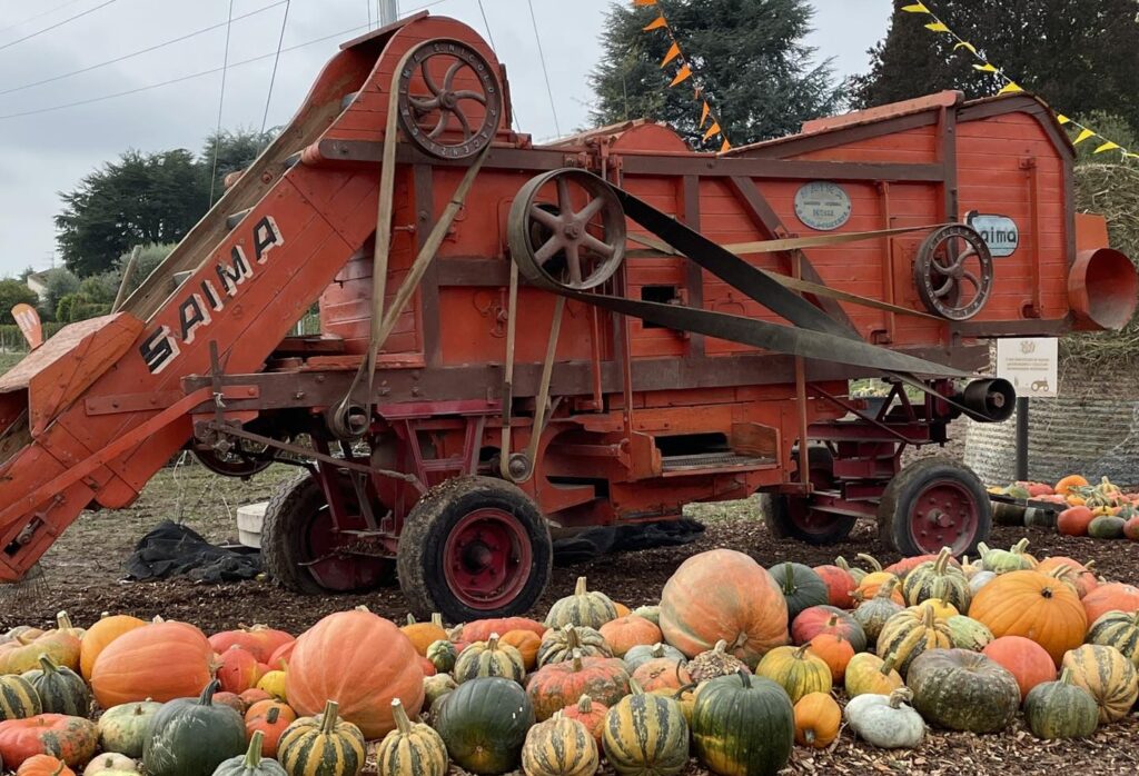 flover farm