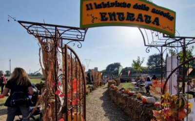 The Flover Farm and its pumpkin maze in Bussolengo
