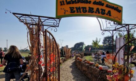 The Flover Farm and its pumpkin maze in Bussolengo