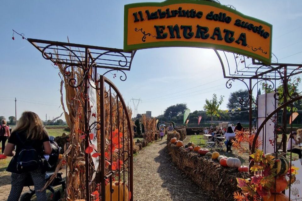 The Flover Farm and its pumpkin maze in Bussolengo