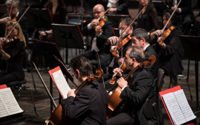 Chamber concerts and guided tours: Arena Foundation’s Museo in Musica season kicks off on January 28