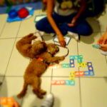 Pediatric pet therapy. At Villafranca Hospital, a new project was born