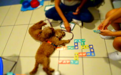 Pediatric pet therapy. At Villafranca Hospital, a new project was born