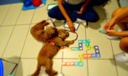 Pediatric pet therapy. At Villafranca Hospital, a new project was born