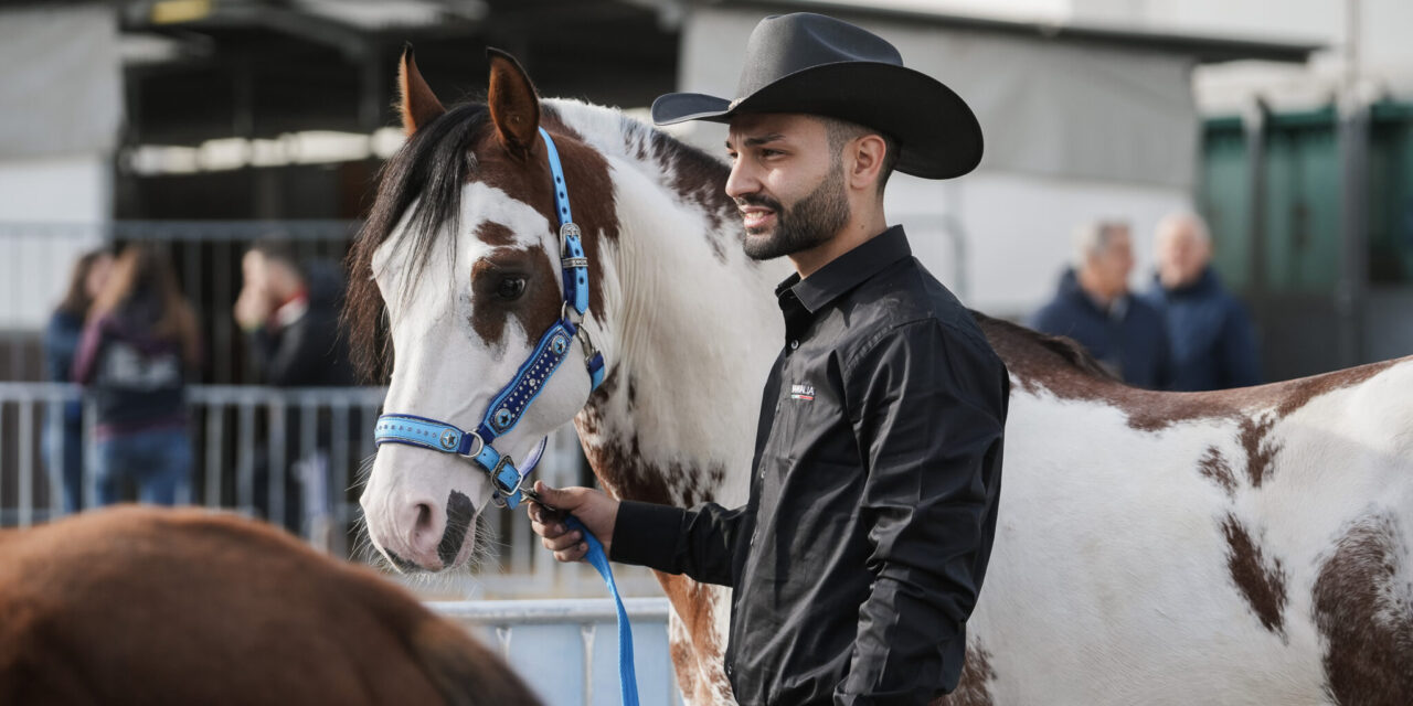 Fieracavalli has started. The world’s greatest riding spectacle