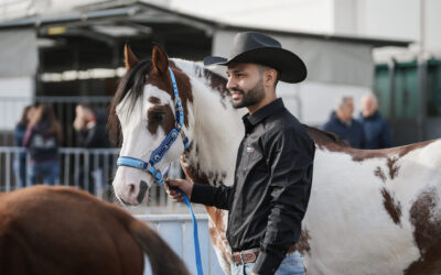 Fieracavalli has started. The world’s greatest riding spectacle