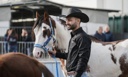 Fieracavalli has started. The world’s greatest riding spectacle