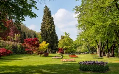Parco Giardino Sigurtà reopens on March 8, and women will get in for free