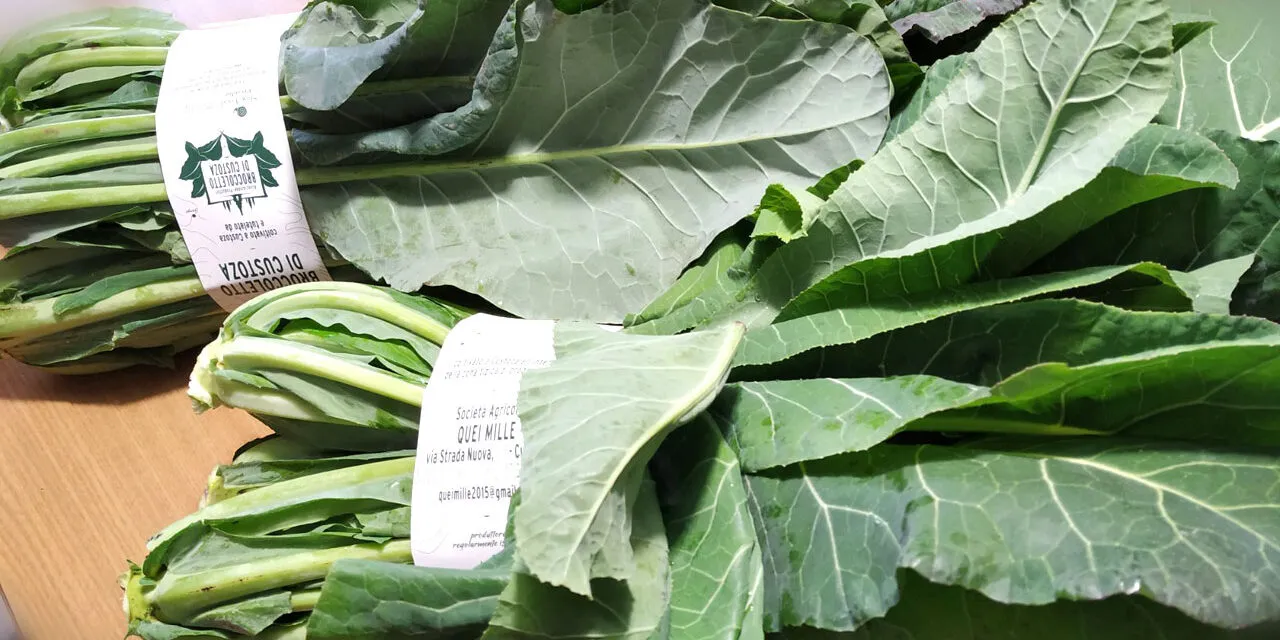 The Broccoletto Festival returns to Custoza: a month-long celebration of local flavors and traditions