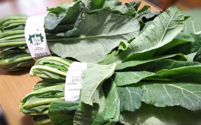 The Broccoletto Festival returns to Custoza: a month-long celebration of local flavors and traditions