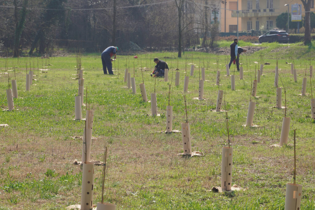 Green Forest Borgo Roma