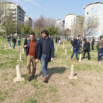 A new green forest in Verona with 1,000 plants in the Borgo Roma neighborhood
