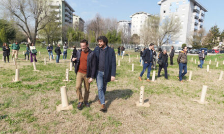 A new green forest in Verona with 1,000 plants in the Borgo Roma neighbourhood